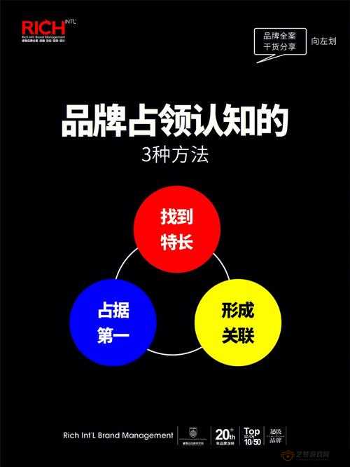 精品二三线品牌如何影响消费者选择：深入剖析背后的关键因素